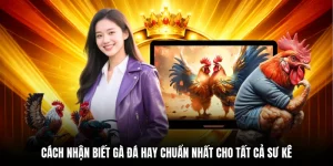 Cách Nhận Biết Gà Đá Hay